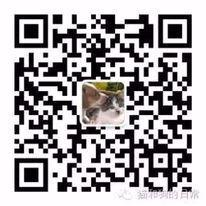 猫和狗的日常微信公众号