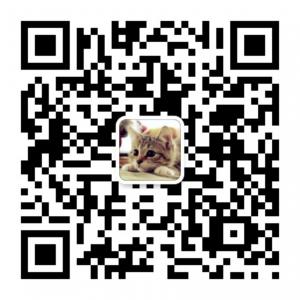 喵咪宝宝资讯微信公众号