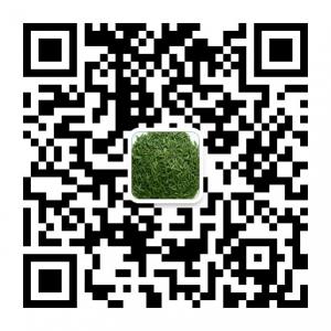 大山中的秦巴特产微信公众号