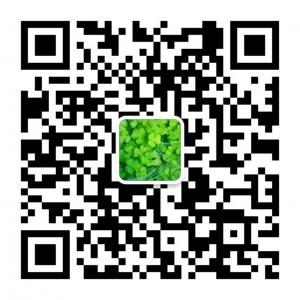 婴儿美励志生活故事微信公众号