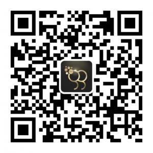 金盛二元期权交易平台微信公众号