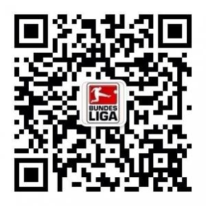 鬼王足球篮球推介微信公众号