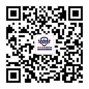 美国鲸鱼游艇俱乐部微信公众号