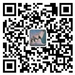 夜上浓妆来私话微信公众号