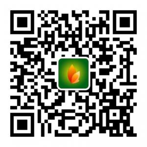 掌上手机亳州微信公众号