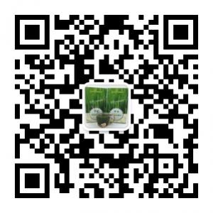甘祖大麦若叶青汁微信公众号