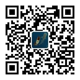 同一种调调微信公众号