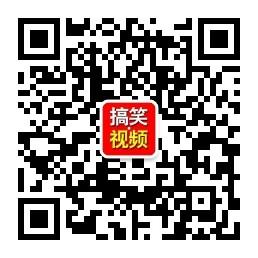 搞笑视频猫微信公众号