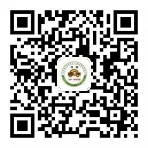 河南顺风车公众平台微信公众号