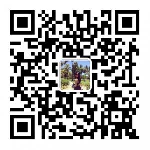 黎贝卡的异想世界微信公众号