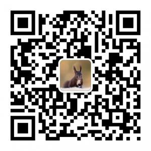 松鼠饲养百科微信公众号