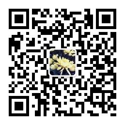 最爱一句话微信公众号