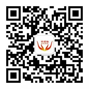 布琪格欧美外单服饰微信公众号