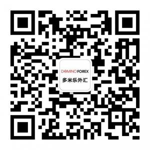 多米乐外汇微信公众号