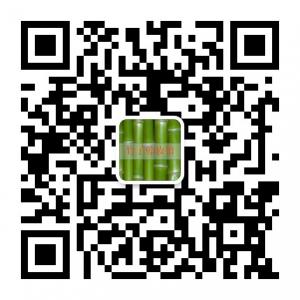 竹子韩妆馆微信公众号
