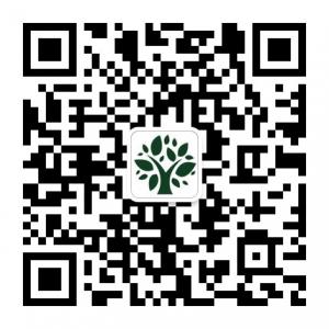 绿色进口商城微信公众号