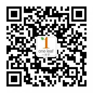 一叶子面膜微信公众号