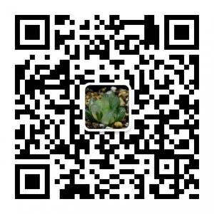 多肉植物爱好者微信公众号