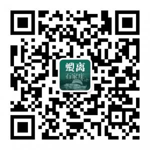 逃离石家庄微信公众号
