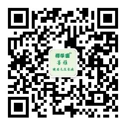 樱草园墨雅睫眉毛与祛痘微信公众号