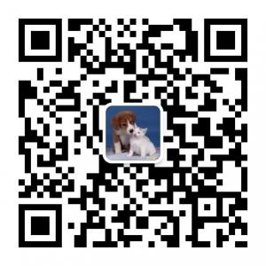 我的宠物萌萌哒微信公众号