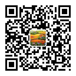 网络的那点事微信公众号