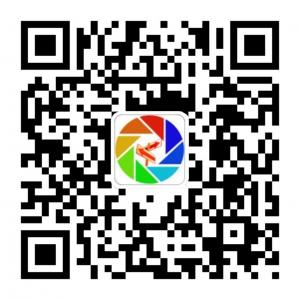 朋友圈风向标微信公众号