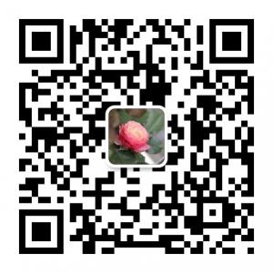 无龄感女人微信公众号