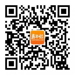 网上养羊理财微信公众号