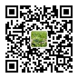 庆春茶友会微信公众号