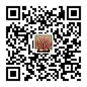 红珊瑚交流会微信公众号