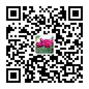 DIY--自制玫瑰醋微信公众号