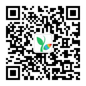 什么最地道微信公众号