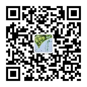 贝基清净果销售代理微信公众号