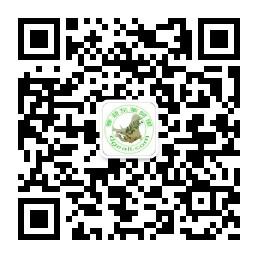 春益东革阿里微信公众号