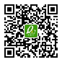 奇葩行l创意30秒微信公众号