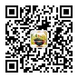 微乐生活【VeileLife】微信公众号