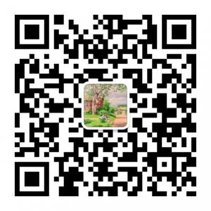 龙凤胎妈妈李晓微信公众号