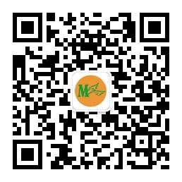 曼生活妙感觉微信公众号