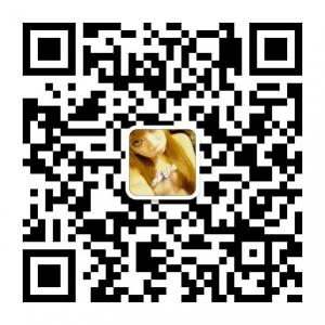 视频业务代理微信公众号