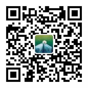 唯美心情美文微信公众号