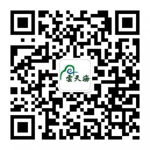 新丰云天海温泉原始森林度假村微信公众号