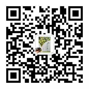 第三餐清净果总代理微信公众号