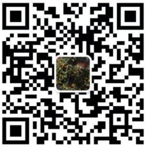 金核桃美国代购-双肩包代购微信公众号