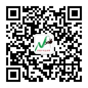 宁波户外网微信公众号