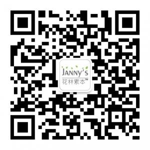 JannyMakeup微信公众号
