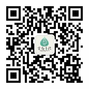 灵动菩提华人佛教微信公众号