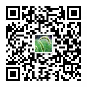 中国传统文化解读微信公众号