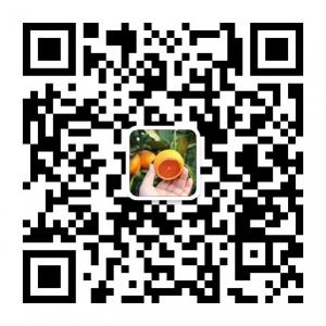 中国好脐橙微信公众号