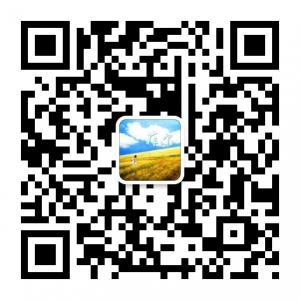 俄罗斯菲尔油画联盟微信公众号
